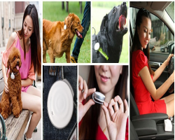 宠物犬身戴GPS 助破案